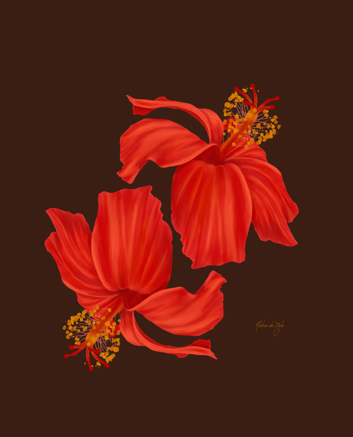 Aloha de Male 8"x10"