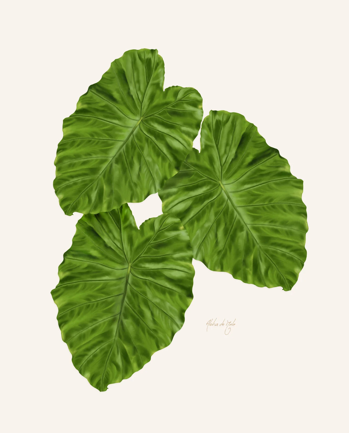 Aloha de Male 11"× 14" Art