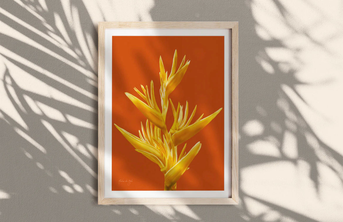 Aloha de Male 11"× 14" Art