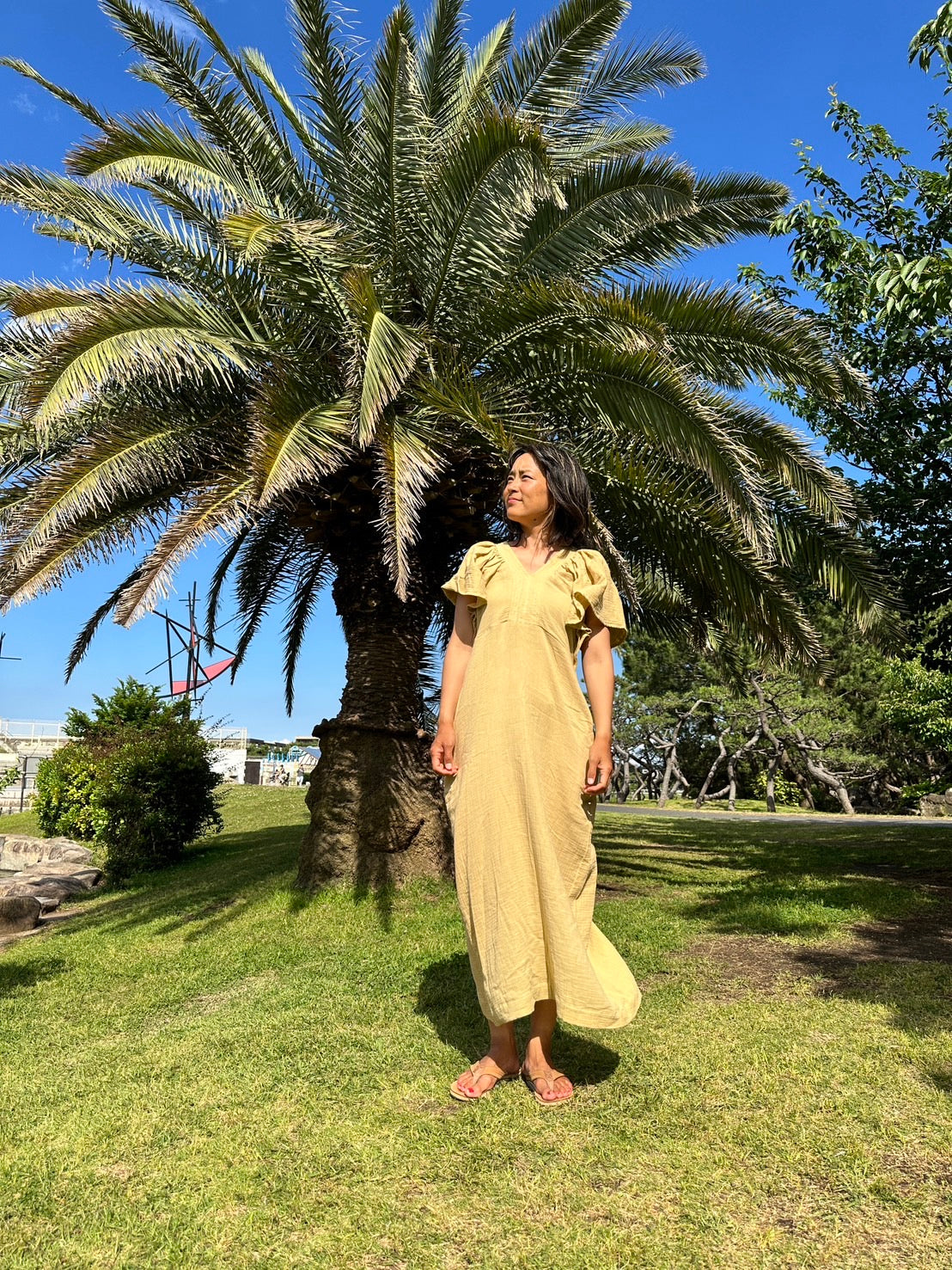 Ruffle sleeve dress