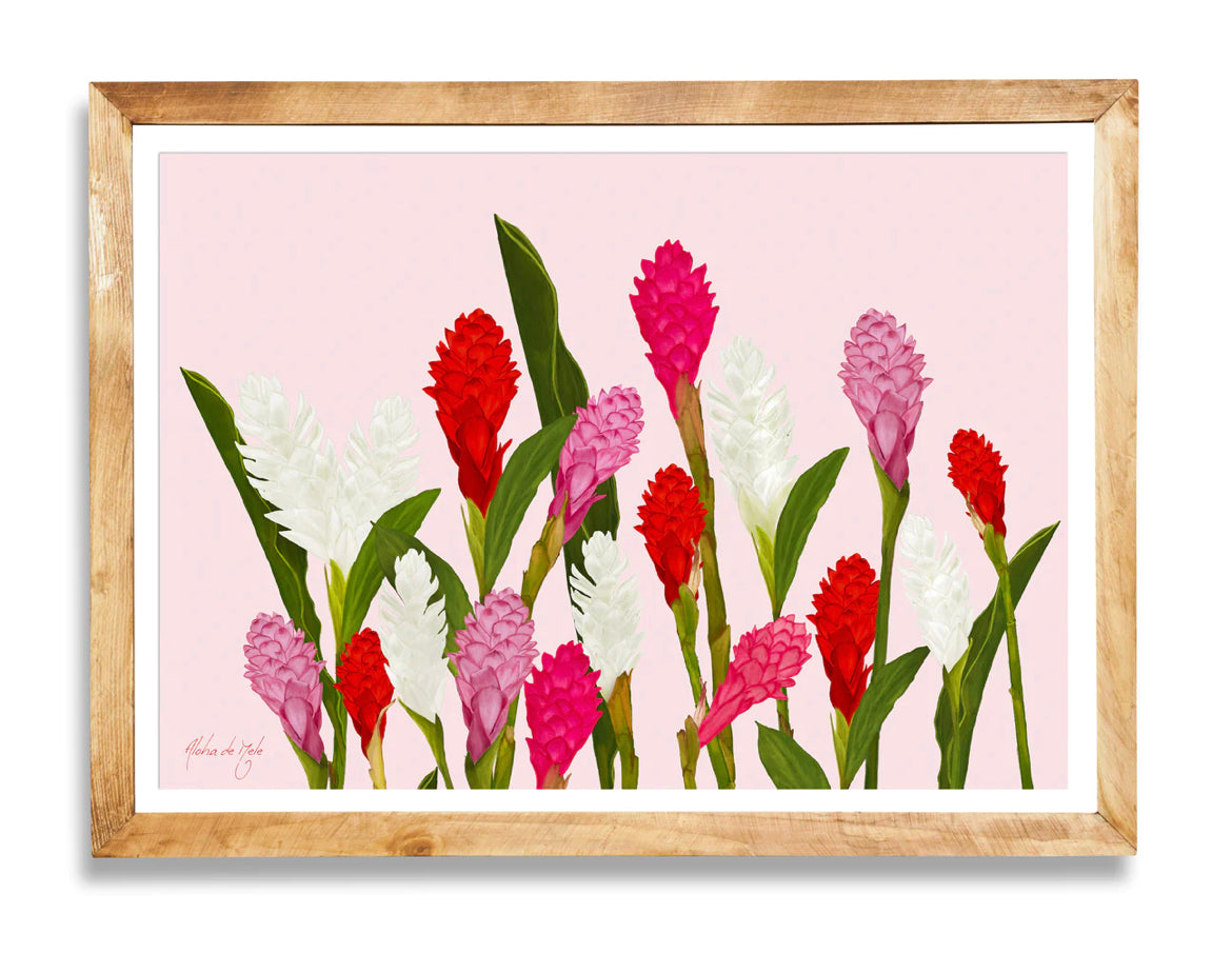 Aloha de Male 11"× 14" Art