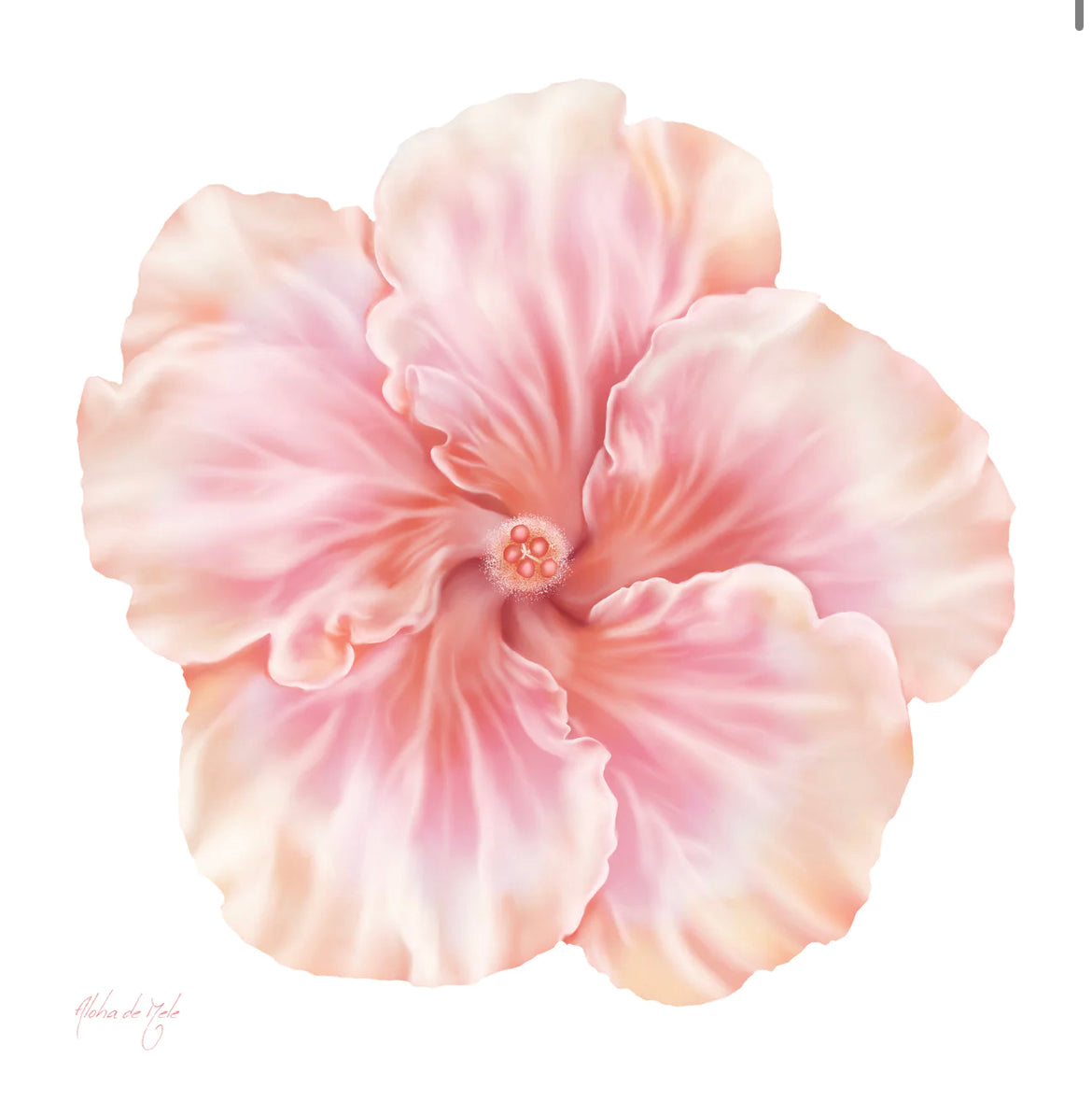 Aloha de Male 12"×12” Art