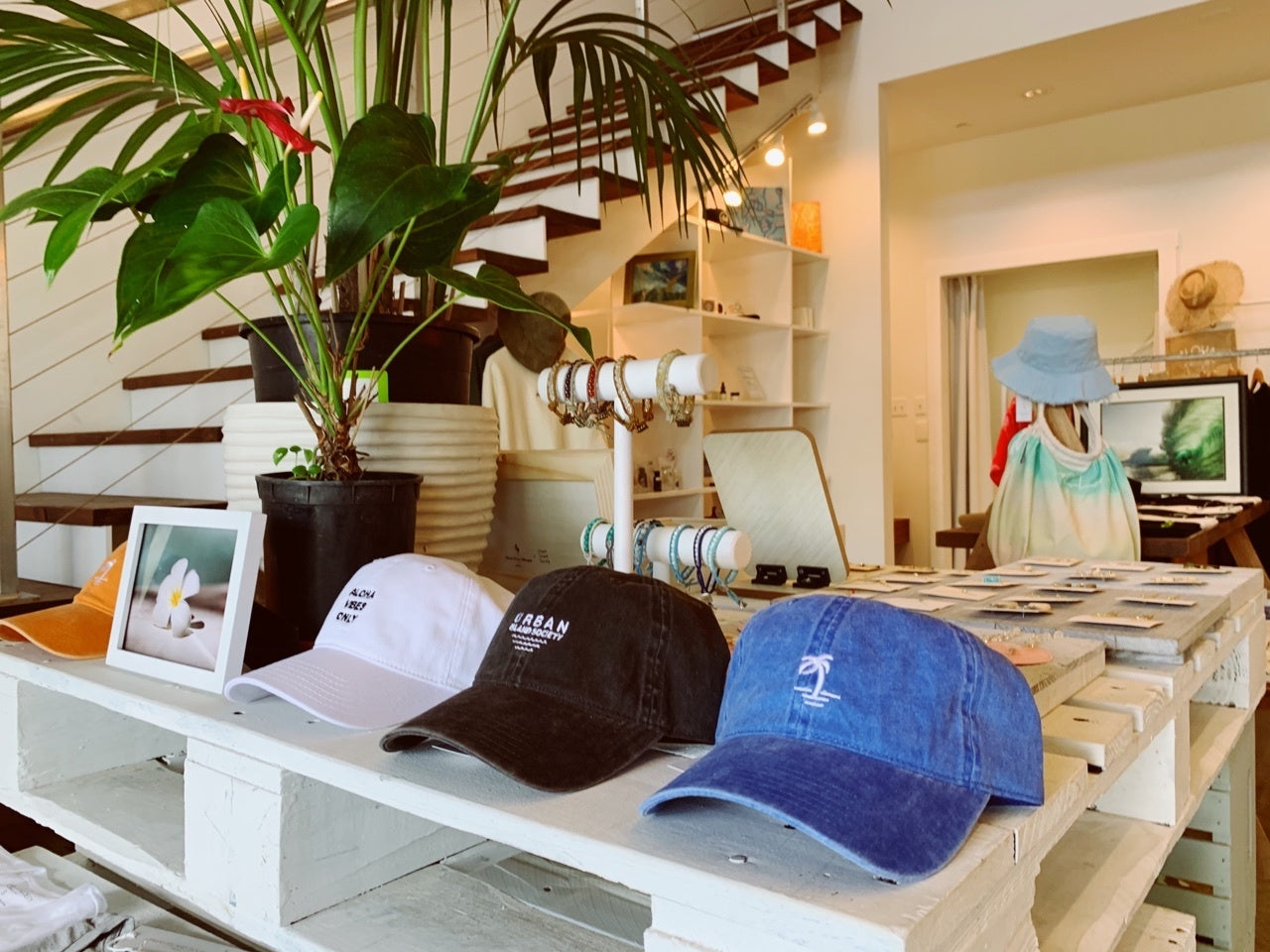 UIS - Palm Tree Cap
