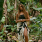 Aloha de Male - Pareo