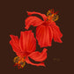 Aloha de Male 8"x10"