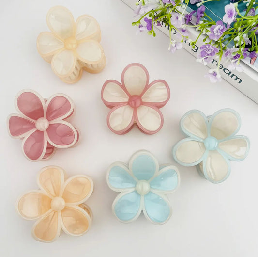 Hair clip - Elegant colorful