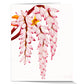 Aloha de Male - Greeting Cards