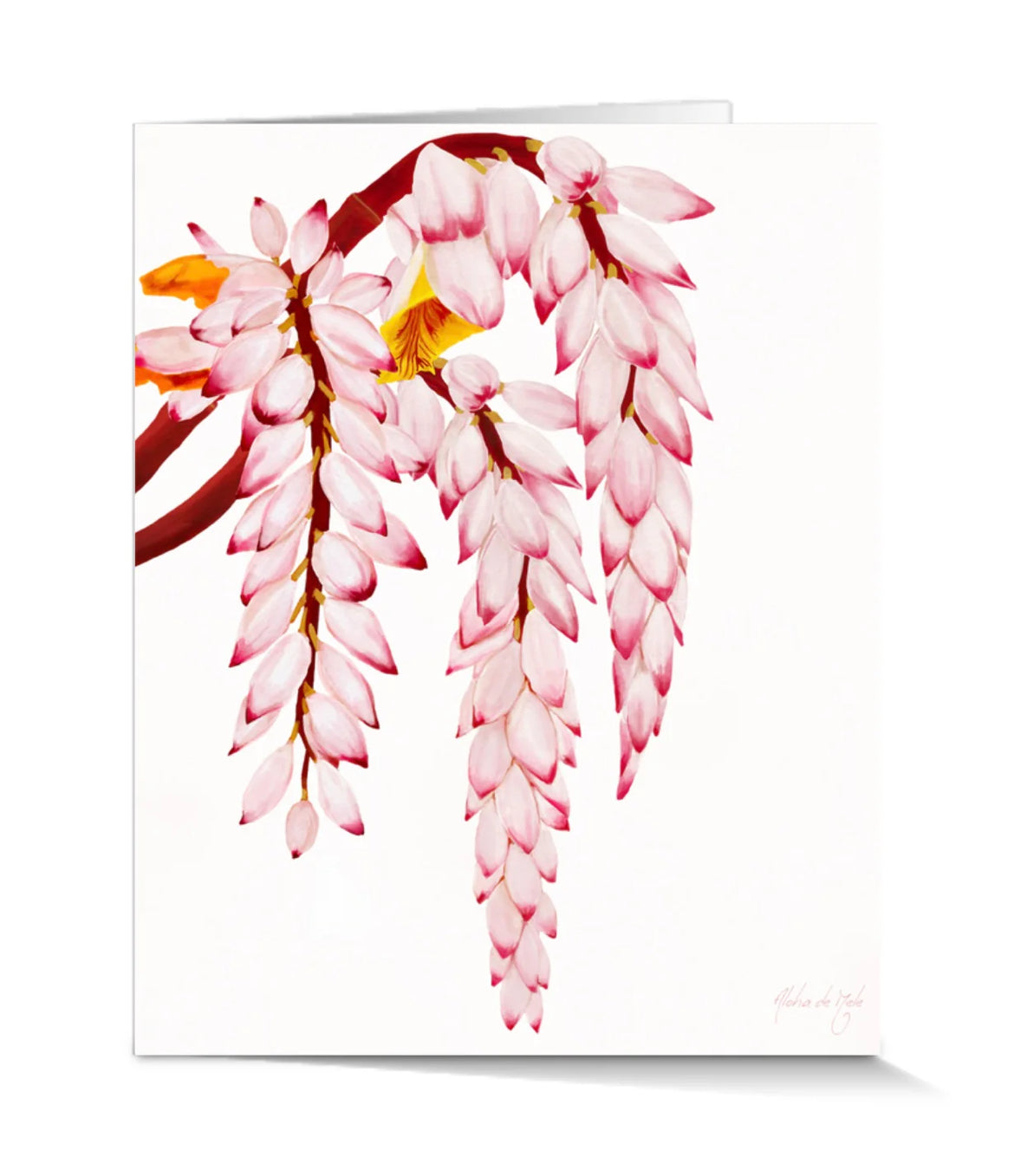 Aloha de Male - Greeting Cards