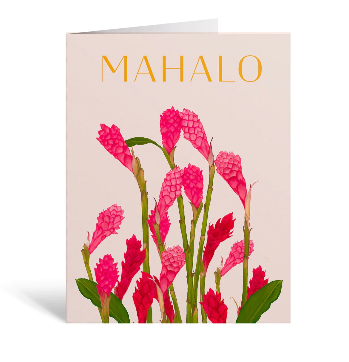 Aloha de Male - Greeting Cards